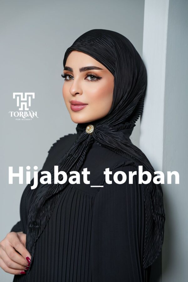 ⁦ربطة بيلسي ستن⁩ - الصورة ⁦2⁩
