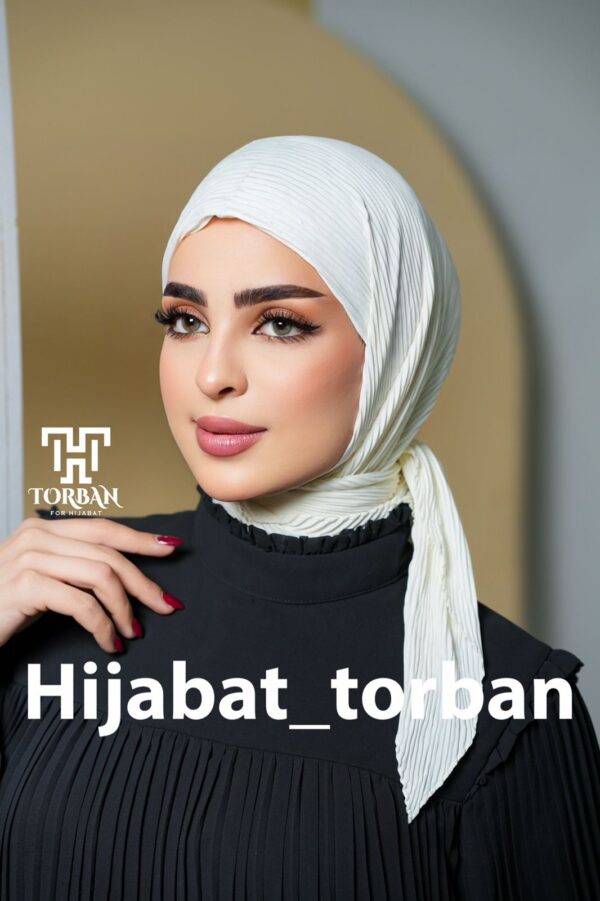 ⁦ربطة بيلسي ستن⁩ - الصورة ⁦4⁩